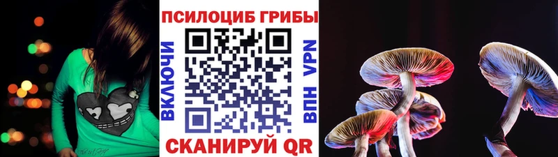 гидра ссылка  Нефтеюганск  Галлюциногенные грибы MAGIC MUSHROOMS 